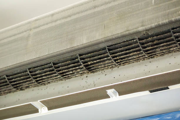 Best Air Duct Sanitization & Disinfection in Friendly, MD