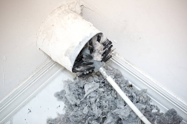 Best Mold and Mildew Removal from Ducts in Friendly, MD